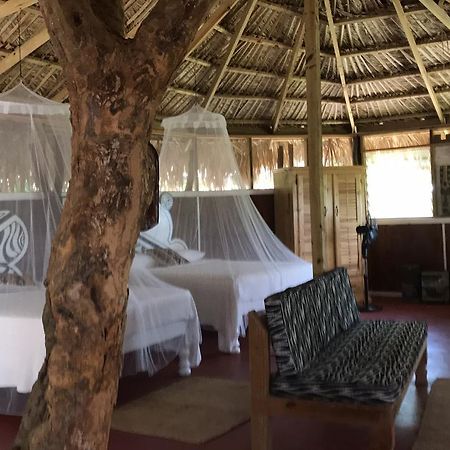 Moringa Ingadi Village Treasure Beach Esterno foto