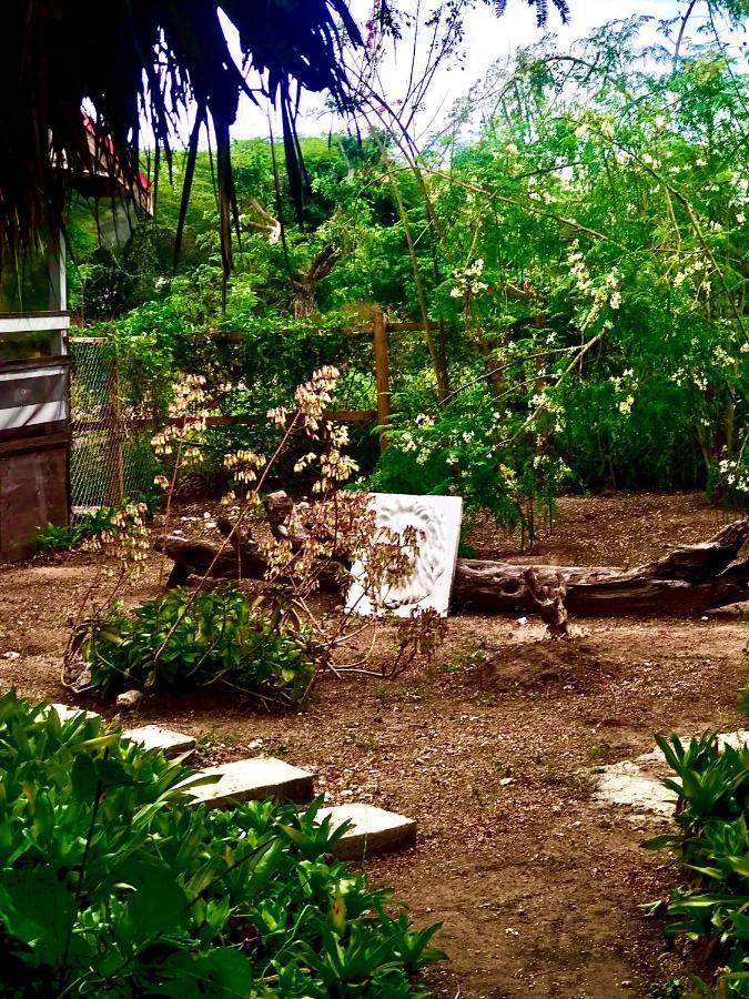 Moringa Ingadi Village Treasure Beach Esterno foto