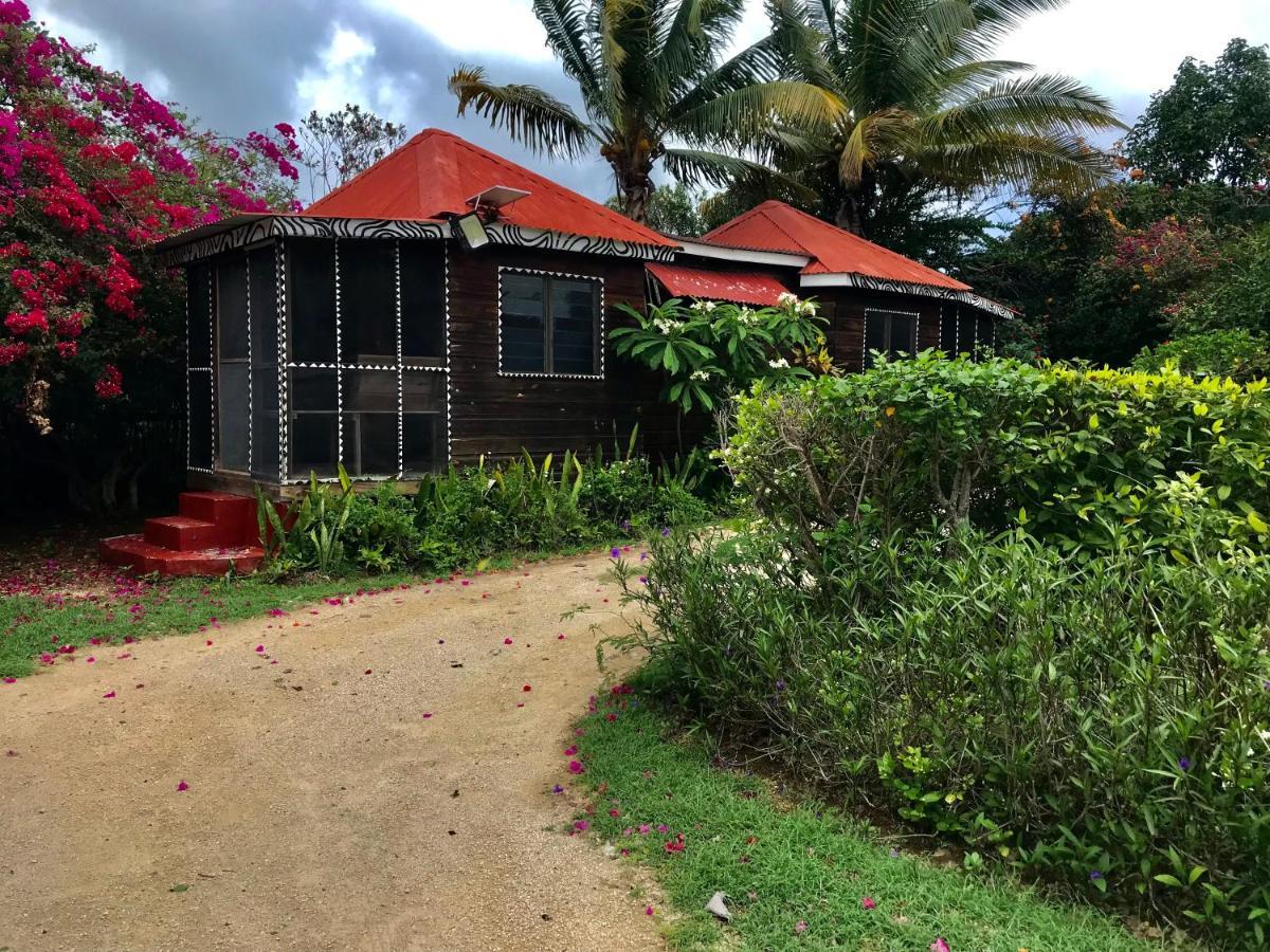 Moringa Ingadi Village Treasure Beach Esterno foto