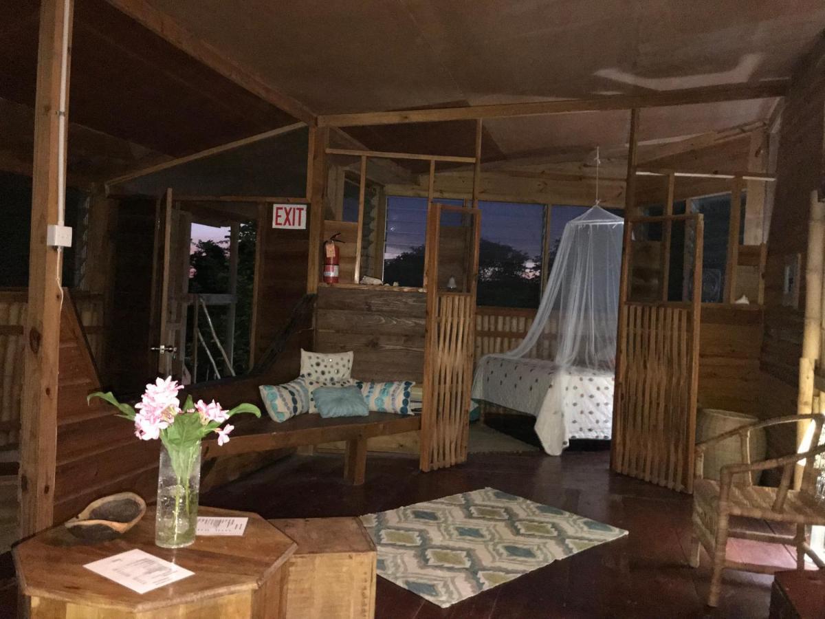 Moringa Ingadi Village Treasure Beach Esterno foto